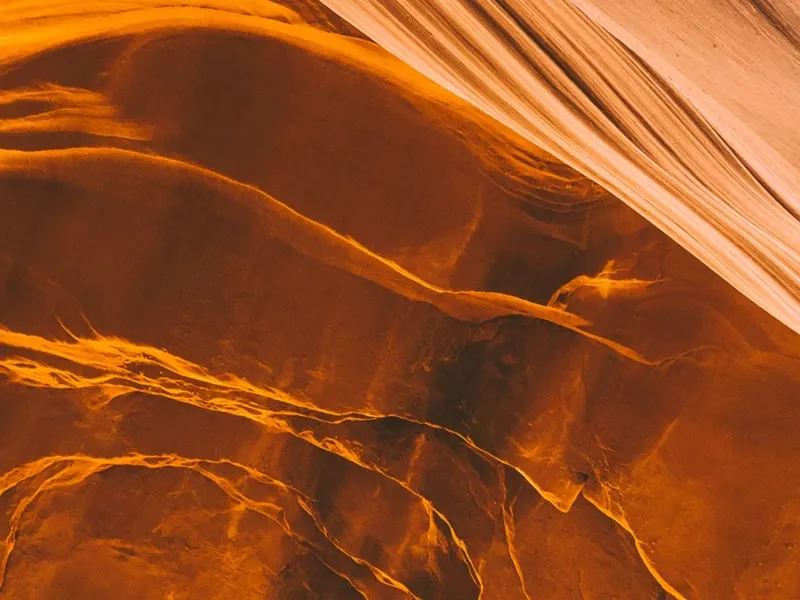 Celiac Disease Screen