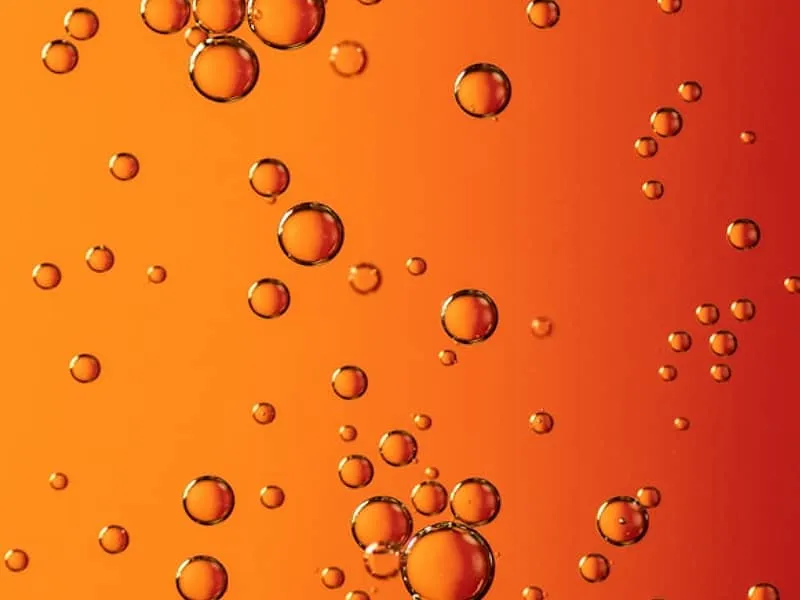 Cholesterol Particle Test