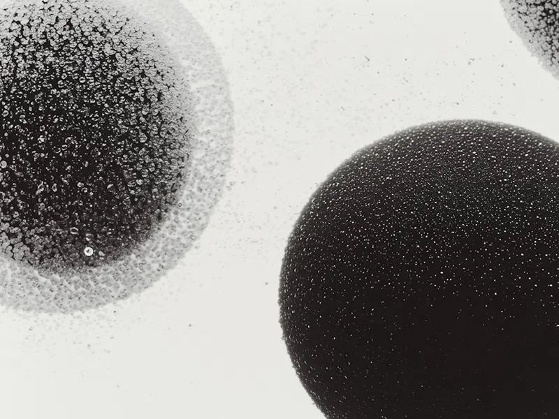 Dihydrotestosterone (DHT) Test