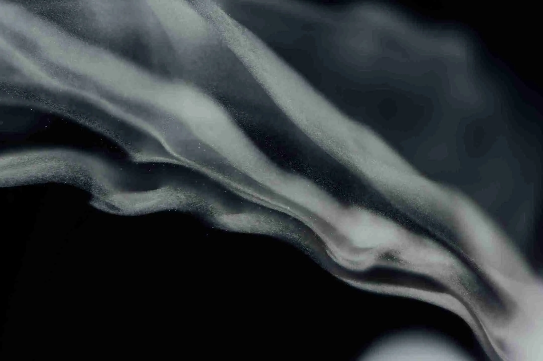 Why Plant Oils Might Outperform Butter for Heart Health