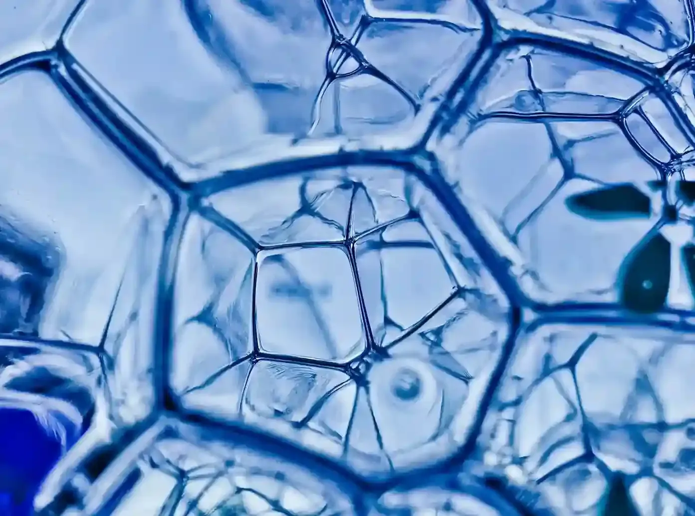 Unlocking Longevity and Energy: The Power of NAD+ Supplementation