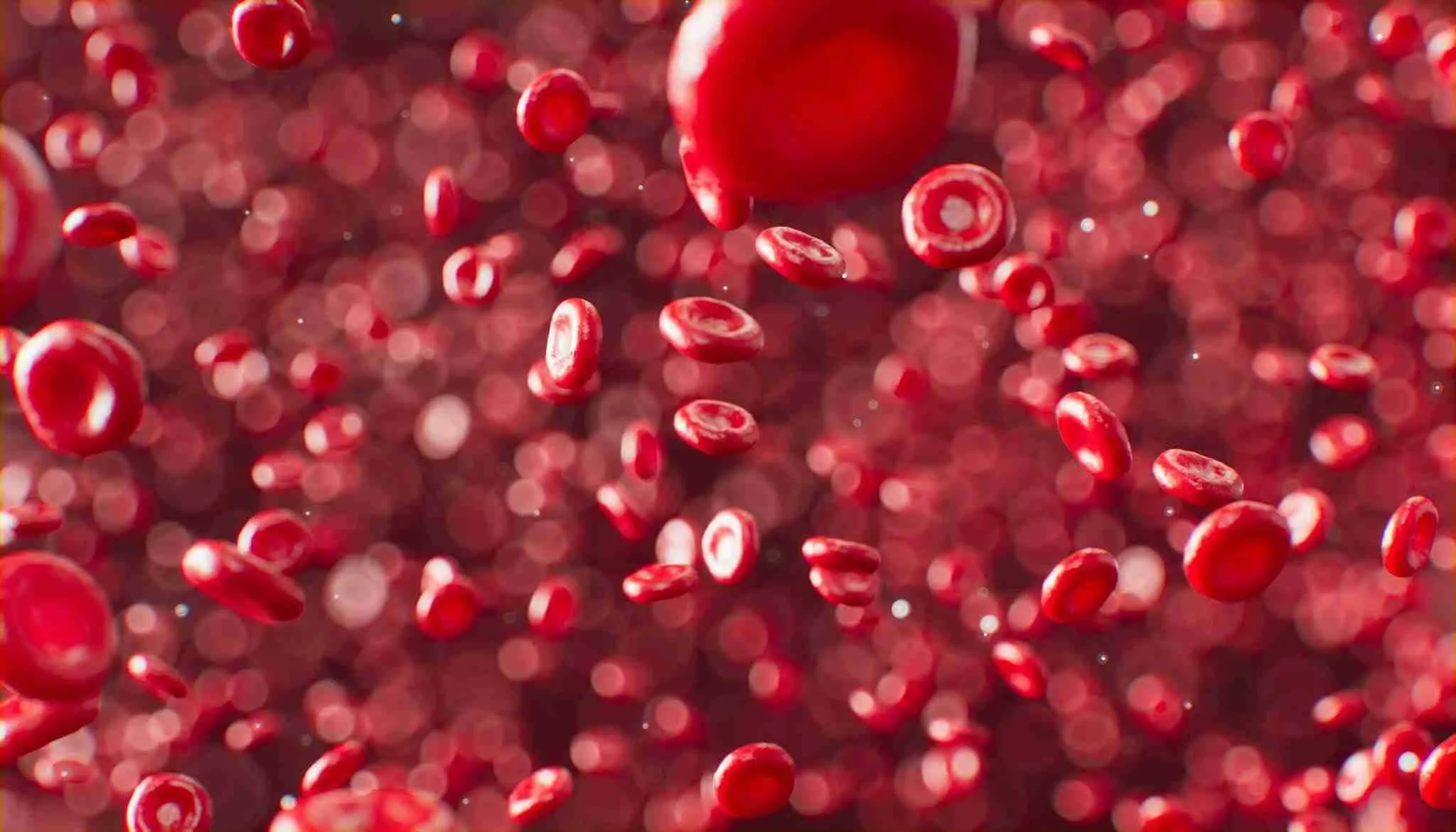 What Is Anemia, and How Does It Affect Your Muscles?
