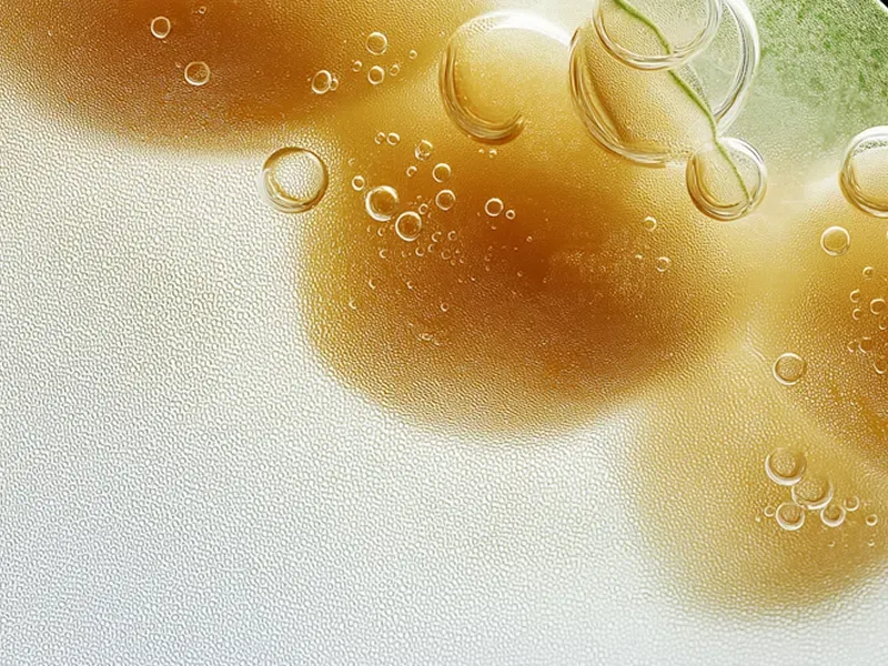 Oxidized LDL (OxLDL) Test